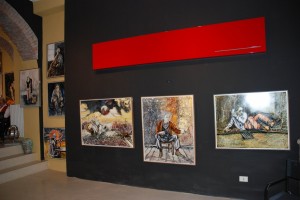 DSC 4705 - Copia