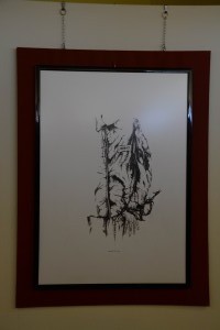 DSC 4720